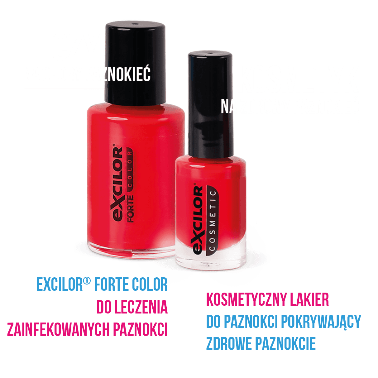 OiO17FaEhkXMc5CBxsgHh5eIUxo